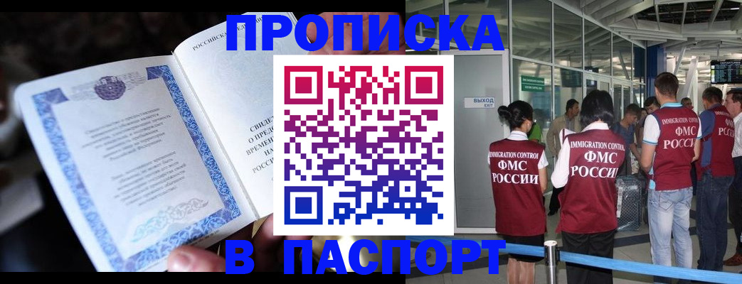 временная регистрация поиск в Тайге